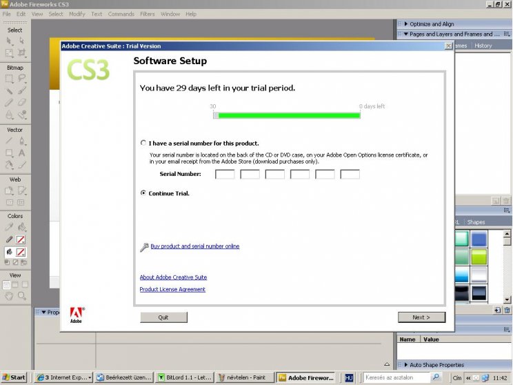 Adobe Web Standard - 7. kép