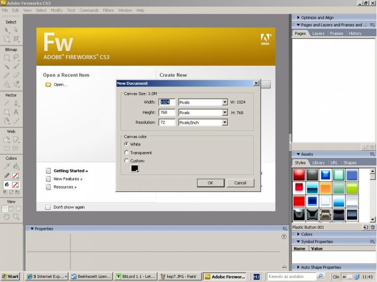 Adobe Web Standard - 8. kép
