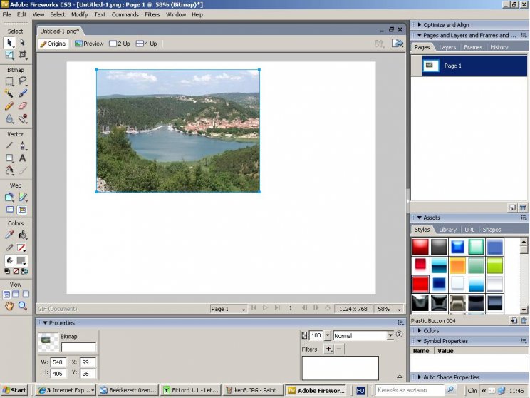 Adobe Web Standard - 9. kép