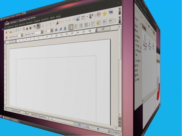 Ubuntu 10.04 - 4. kép