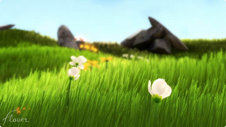 Flower - 2. kép
