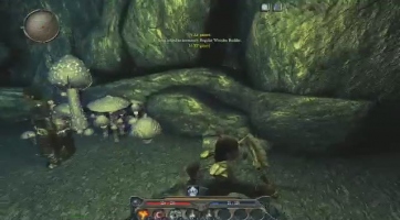 Divinity 2: Ego Draconis: 5 rövid mozgókép