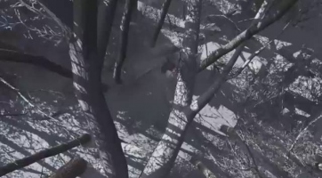 Friss Assassin's Creed III trailer érkezett