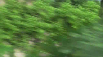 Sonic & Sega All-Stars Racing: gamescom 2009 trailer
