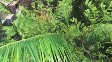 UbiSoft E3 2012: Far Cry 3 trailer