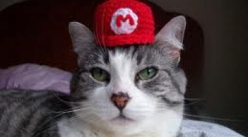 A macskába reinkarnálódott Super Mario