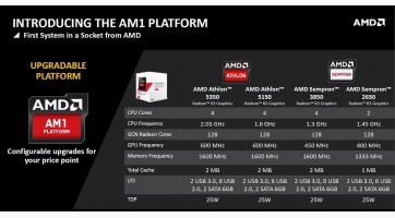 AMD AM1: Kicsi a bors, de...