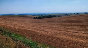 Bejelentkezek