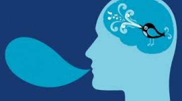Ki mondta, hogy a madarak nem Twittereznek? 