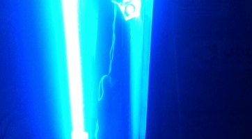 Neon 2