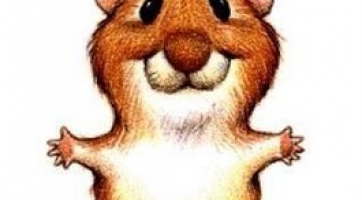 Öleld meg a világot