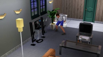 The Sims 3