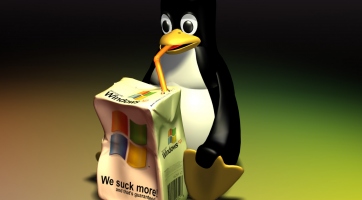 Viccek