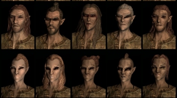 The Elder Scrolls V: Skyrim