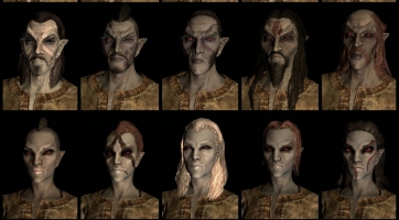 The Elder Scrolls V: Skyrim