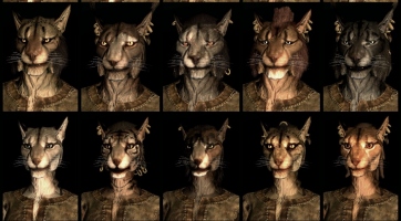 The Elder Scrolls V: Skyrim