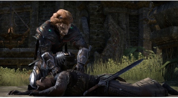 The Elder Scrolls Online