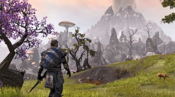 The Elder Scrolls Online