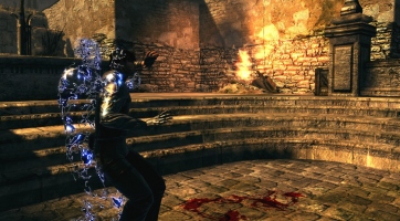 Dark Sector