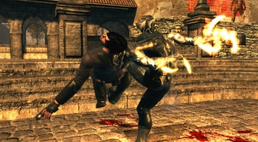 Dark Sector