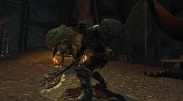 Divinity II: Ego Draconis: Amikor egy sárkány kileheli lelkét