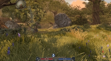 Divinity II: Ego Draconis