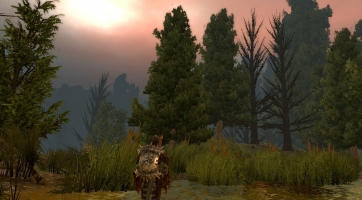 Dragon Age: Origins: Háború az élet színpadán