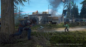 Days Gone