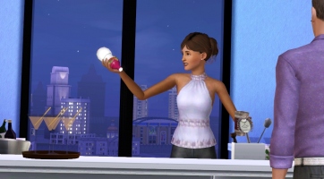 The Sims 3