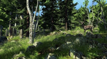 Elindult a The Hunter bétára való regisztráció