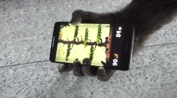 Érkezik a Gorilla Glass 4