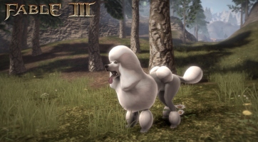 Fable III