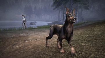 Fable III