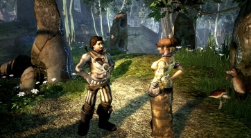 Fable II: Online kooperáció nélkül érkezik