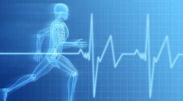 Fitnesz játékon dolgoznak a Guitar Hero készítői