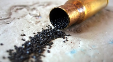 Gunpowder: A Microsoft új projektje?