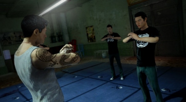 Sleeping Dogs
