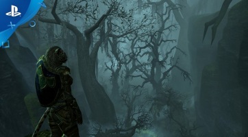 The Elder Scrolls Online