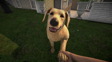 Ingyenesen letölthető a Pets Hotel állatszimulátor bevezető változata