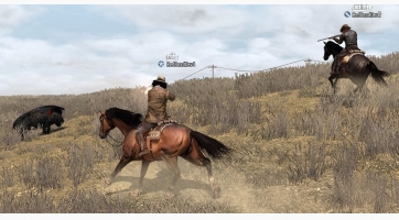 Red Dead Redemption