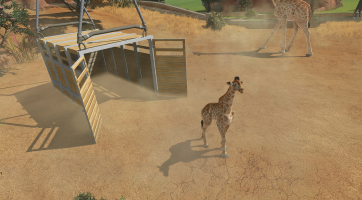 Zoo Tycoon