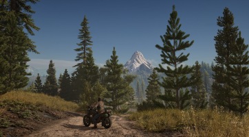 Days Gone