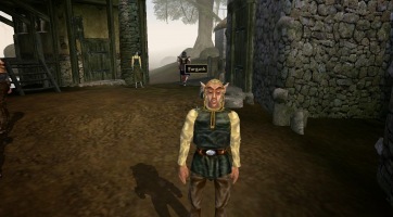 Nem mozgatja a Bethesda vezérének fantáziáját egy Morrowind feldolgozás