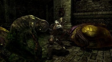 Októberben érkezik a Divinity II: The Dragon Knight Saga
