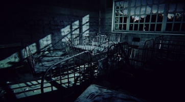 Daylight