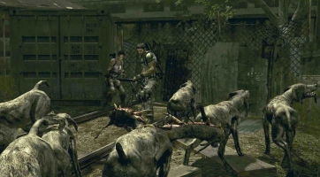 Resident Evil 5: Nvidia GeForce 3D Vision technológiával felvértezett PC-s verzió