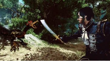 Risen 2: Dark Waters