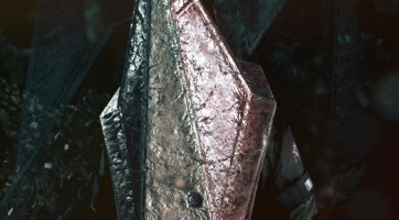 Metal Gear Survive