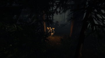 The Forest