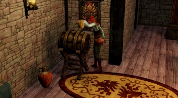 The Sims Medieval